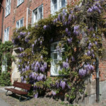 Profile picture of Bereich Kultur